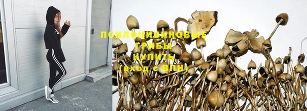 наркотики Богородицк